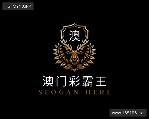 探究澳门彩霸王